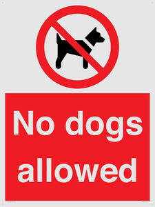 No dogs allowed